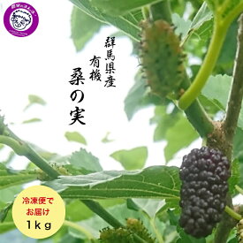 群馬県下仁田産 有機桑の実 冷凍 1kg（2026年産）