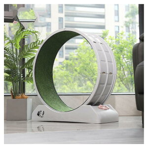 LbgzC[ L jOzC[ LbgEH[N Lbg [[ L̃gbh~ 񂵎 ܌ LbgGNTTCYz