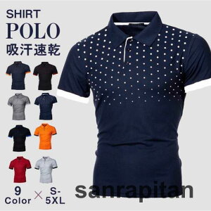 StEFA |Vc Y TVc ʕ rWlX  _炩 JWA StVc   傫TCY