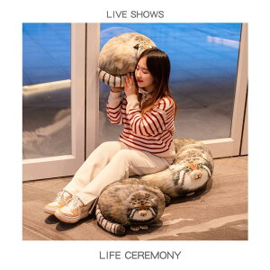 ʂ }klR   xbh ߋ ӂӂ  ̎q j̎q 킢 Mtg  CeA 30cm 40cm 50c