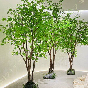 ^ tFCNO[ lHϗtA lHA N₩ȐF {̃^b` lH lHA lH oii V~[Vc[ 