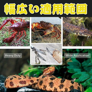 wrߊl_ Lk wrߊl_ ֎ XeX bN@\ y ȒP ঒ wr  ߊl Sɕߊl ivIɎgp\