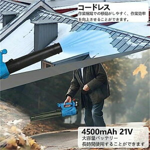 duA[ nCp[ [du[ R[hX nCp[ u 6ʒ1000W ᑛ U y 啗 Ɩp ƒp