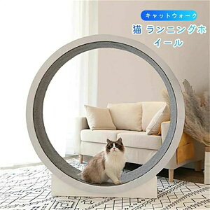 ybg [i[ LbgzC[ l LbgzC[ LbgzC[ L jOzC[ LbgEH[N Lbg [