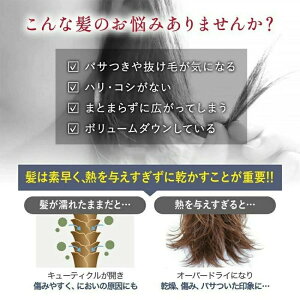 hC[ Jo[GA[ VJ  hC[ 啗  wAhC[ 2}CiXCI Pw