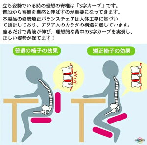 oX`FA ݑΖ ֎q ݑ[N `FA oX `FA l p pT|[g`FA Lw\h ɑ΍  l