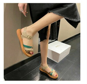 T_ fB[X X|[cT_ Ȃ ʋC RtH[gT_  r[`T_ y ₷ XgbvT