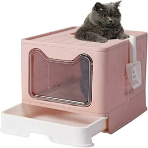 LgC lR VXegC LpgC{ юUȂ LȂ XRbvt ₷ Rꍻ݌v ʓ ォo