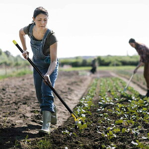 v c[ ܂ yX @ ނ 蓹 ܂   G΍ |p