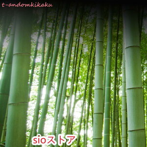 ؃ZC Zbg 18cm 20cm 21cm |  ؂ t U ZC ^×1 g×1 Zbg VR| ؏U  