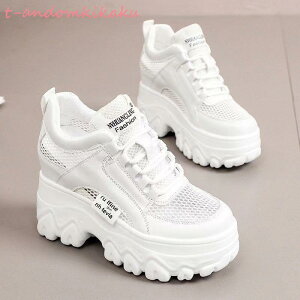 Xj[J[  Xj[J[ fB[X   C C  V[Y 10cm X|[c JWA Xg[g 킢 ʊw