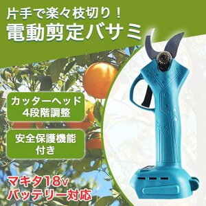 ΂ oT~ }L^ ݊ }؂ d }؂oT~ }؂͂