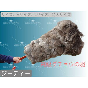 т΂I[Xgb`Hюԗpyԑ|ԗp^ԑ^ԃO[