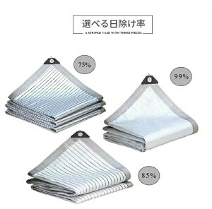 悯 VF[h TVF[h ΍ O 6m*2m A~  UV΍ lp^  XN[ oRj[ I[jO ډB