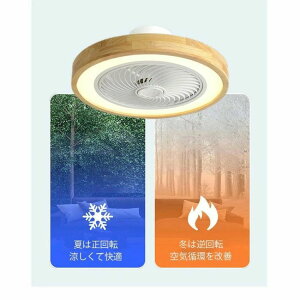 t@t 50cm V@ APPRu ؖڒ Vt@ KiF 6Ki V[