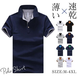 |Vc Y  StEGA X|[c ^ z n  ̓ _炩 40 50 v[g rWlX N[rY