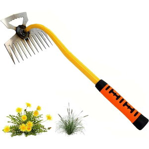 蓮 @ L Ўp @ @\ G  Yf|@ |[^u @\@ ~͗뒆ؐA