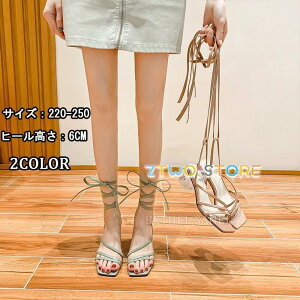 i T_ Y fB[X  傫TCY  jp T_  EFbW\[ W[g NXSxg