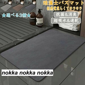 珪藻土バスマット40x60cm~80x120cm 大判 サイズ 珪藻土マット 風呂 バスマット 足ふきマット 速乾 珪藻土 キッチンマット 滑り止め 浴室 洗面所 吸水 速乾 抗菌 滑り止め 北欧 脱衣所 吸水マット