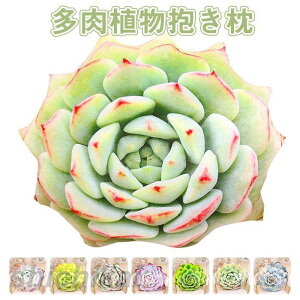 ʂ A A  CeA G X L[z_[ a v[g