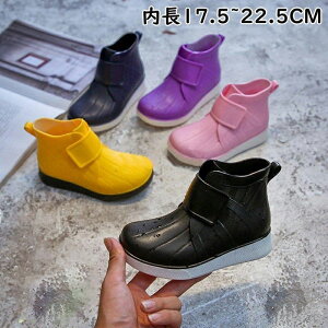 yP20{IzCu[c LbY C ̎q j̎q q 13cm 14cm 15cm 16cm 17cm 18cm 19cm 20cm 21cm 22cm y y  w 킢 WjA qǂ o^C v