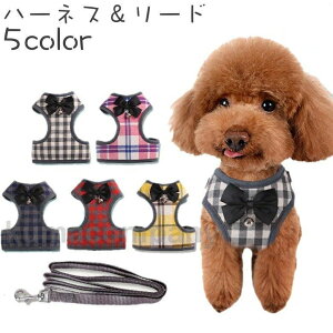 n[lX [h 2_Zbg p Lp ybgObY  UR [V `FbN iq  킢 U o ybgpi