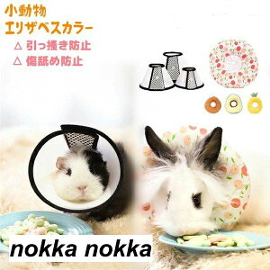 GUxXJ[  nX^[  tFbg }EX bg ETM \tg NbV z }WbNe[v rߖh~ ~h~ ی p S M L pi ybgp