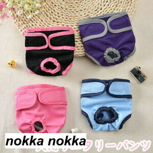 p Tj^[pc }i[pc 2_Zbg 4color p }i[EFA D  pi ނJo[  PApi ppEFA U o ybgG  ybgp q