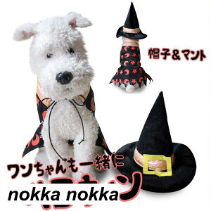 nEB[ RXv ybg  L  Halloween 2_Zbg }g nbg Xqt  pȒP p Lp  ˂ ybg  @g RX`[ Cxg p[eB[ 