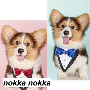 ybgpX^C ^ L  `[J[ Op ^ ^ ANZT[  t [X ߂ ʐ^B蓹 LOtHg S[WX GKg  ybgpi 