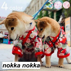 ybg  L  s[X  a Y  pȒP hbOEFA p Lp  ˂  ybg  ybgG j v[g ʐ^B蓹 LOtHg Be Mt