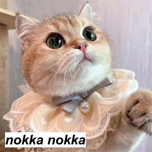 ybgp|  L  { [X `[J[ ANZT[  t ߂ ʐ^B蓹 LOtHg  ybgpi Be v[g Mtg