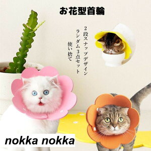 GUxXJ[   \ rߖh~ F_3_Zbg wXPA pEFA ĝ GUxXJ[ Lp p \tg _炩 y  lR Ck  
