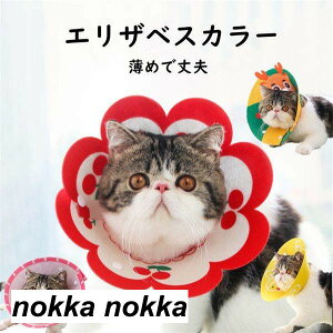 GUxXJ[    \ rߖh~ wXPA pEFA GUxXJ[ Lp p \tg _炩 y  lR Ck  킢 n ybgG 