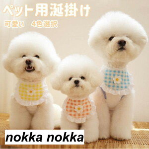 ybgp|  L  `[J[ 2_Zbg ANZT[  t [X ߂ ʐ^B蓹 LOtHg S[WX GKg  ybgpi v[g Mtg