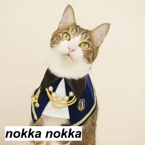 ybgp|  L  { [X `[J[ ANZT[   t ߂ ʐ^B蓹 LOtHg  ybgpi Be zCgf[ v[g M