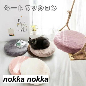 V[gNbV ی` ~  g OJo[ ֎q V[g Ɨp ItBXp ԗp wZ ᔽ zc K  8TYPE zCgf[