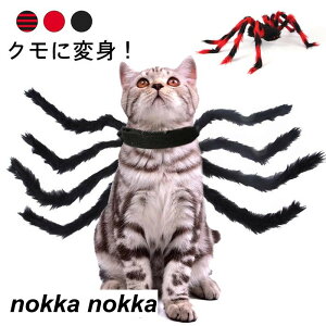 ybgRXv L  Nϐg p w RX`[ N̑ nEC   킢  L/^  ϐgObY nEB NX}X Be zCgf[ Mtg