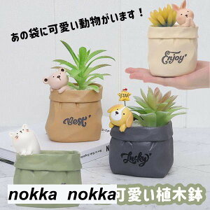 プランター 植木鉢 ミニ 多肉 苔 コケリウム 苔リウム 箱庭 可愛い 鉢 サボテン 多肉植物 寄せ植え 置物 インテリア かわいい 樹脂 テラリウム 容器 卓上 ガーデニング グッズ 小物収納 雑貨