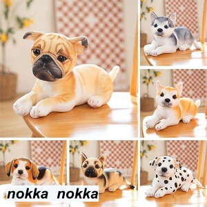 ʂ  Ck A ӂӂ  CeA  킢 aMtg Mtg