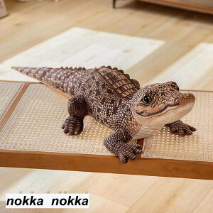 ʂ  j A  CeAG G    RNV a v[g
