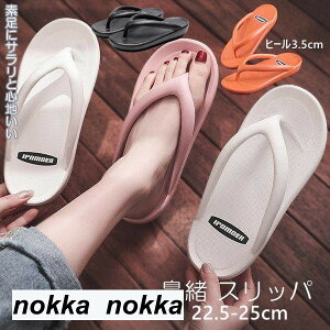 THOM WILLS Xbp T_ r[`T_ @ Xbp ~  O T_ fB[X [T_  RtH[gT_  r[` AEghA V[Y C 