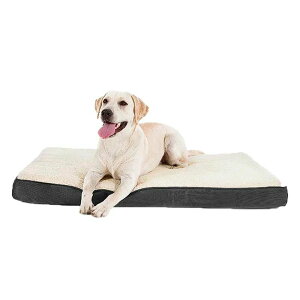  ybgxbh E^E ̈U  L ӂӂ 炩 Gǂ Jo[O t p^ XNGA ^