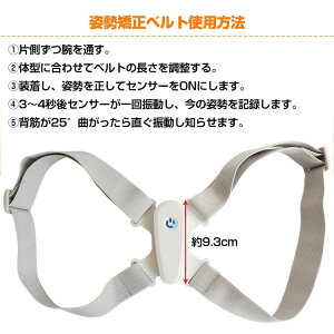 pT|[^[ pxg w؃T|[^[ A[t USB[d Lw w؋ ʋC EȒP 8^xg qǂ p