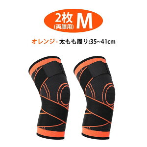 [ Vi ]GT|[^[ qUp Gp2Zbg jp Ђ G֐ EH[LO ȒP ɂ ₷ Œ  s