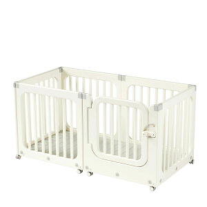 2025NV xr[T[N T[N}bgLX^[t ړyX Ԃ u t X LbYp[e[V Ԃ t