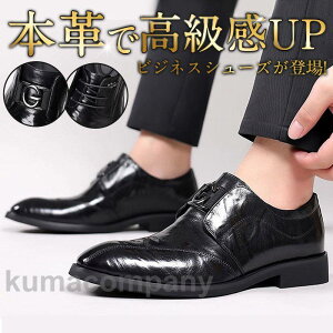 rWlXV[Y Y {v vC L N[g amC Ў  ʋ Ȃ y ItBX tH[} AE 