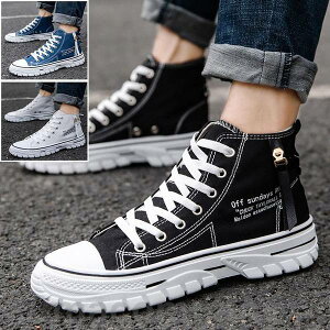 THOM WILLS nCJbgXj[J[ Y YXj[J[ C  EH[LOV[Y JWAV[Y   hCrOV[Y ʊwC