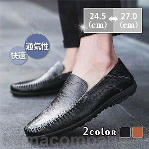 THOM WILLS Xb| Y JWAV[Y [t@[ ԉ^] ʋC C ʊw ʋ t H AE^[ U Vv [N K lC rWlX