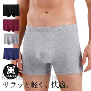 {NT[pc Y  u[t j n Vv Xgb` Ȃ ʋC ΍ R L _炩 ̓ 傫TCY